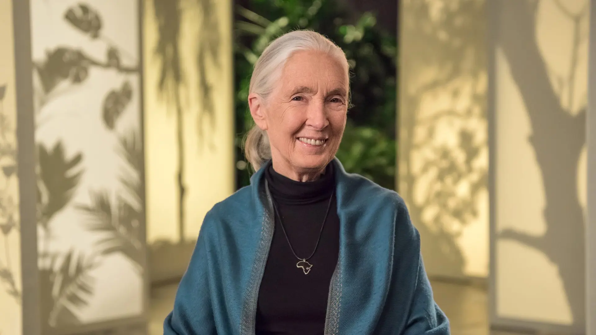 Sélection de contenu 1